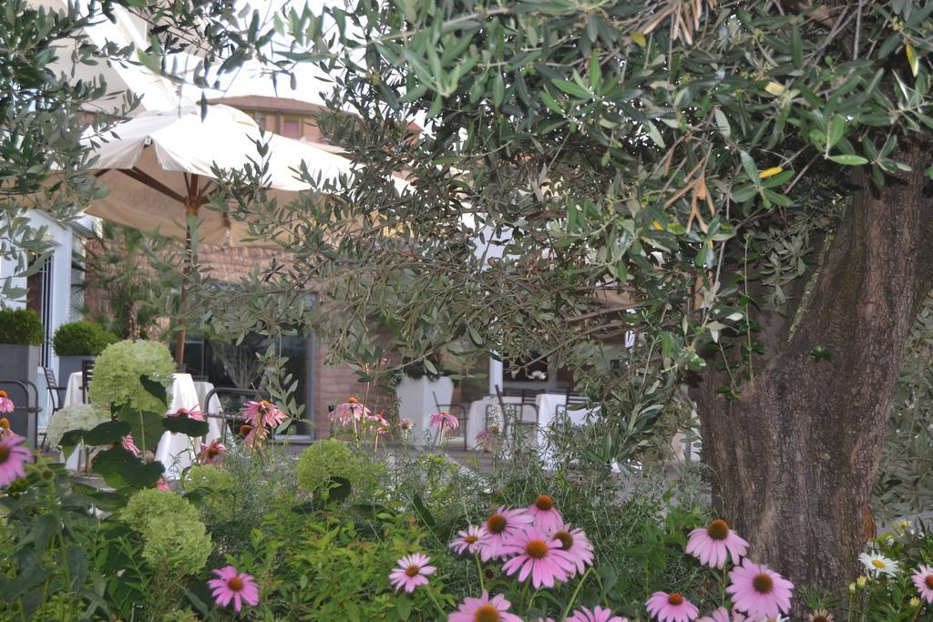 Albergo La Pace Segni Kültér fotó